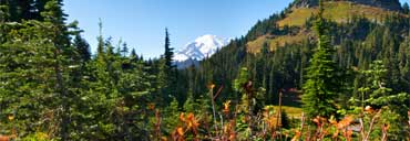 Fall Colors along Chinook Pass