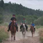 Horseback Riding - Mud Mountain